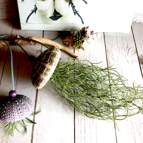 クラゲのガーランド　スワッグ　リース　シーウーチン スワッグ クラゲ ガーランド リース シーウーチン 窓辺に揺れる