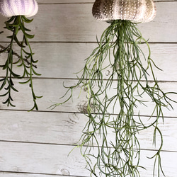 窓辺に揺れるシーウーチン (18) 海月 ウニ殻シーウーチンxフェイク観葉