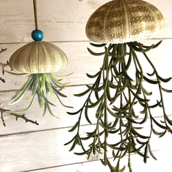 クラゲのガーランド　スワッグ　リース　シーウーチン クラゲのガーランド スワッグ リース シーウーチン K様オーダー品