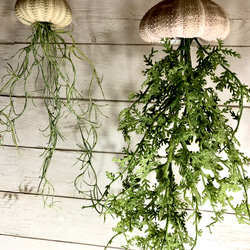 窓辺に揺れるシーウーチン (18) 海月 ウニ殻シーウーチンxフェイク観葉