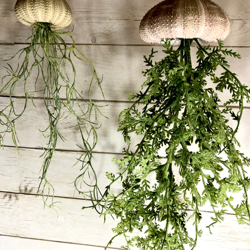 窓辺に揺れるシーウーチン (18) 海月 ウニ殻シーウーチンxフェイク観葉