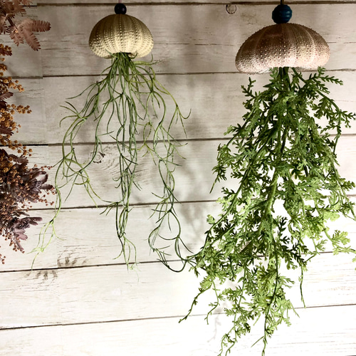 窓辺に揺れるシーウーチン (18) 海月 ウニ殻シーウーチンxフェイク観葉