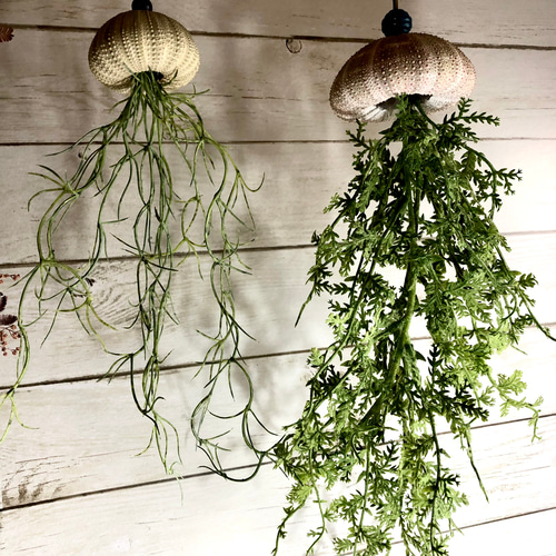 窓辺に揺れるシーウーチン (18) 海月 ウニ殻シーウーチンxフェイク観葉