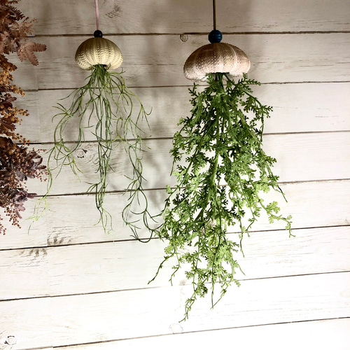 窓辺に揺れるシーウーチン (18) 海月 ウニ殻シーウーチンxフェイク観葉