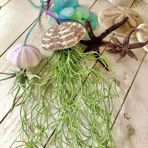 クラゲのガーランド　スワッグ　リース　シーウーチン クラゲのガーランド スワッグ リース シーウーチン K様オーダー品