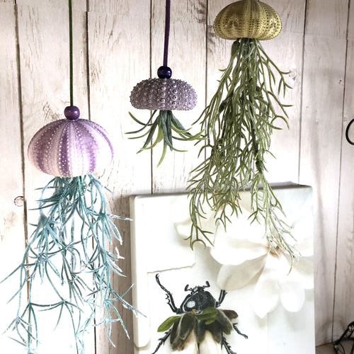 揺れるシーウーチン (4) 3個セット ウニ殻 海月 その他インテリア雑貨