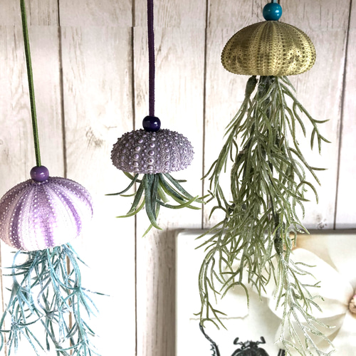 揺れるシーウーチン (4) 3個セット ウニ殻 海月 その他インテリア雑貨