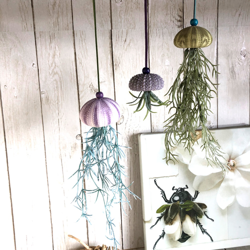 揺れるシーウーチン (4) 3個セット ウニ殻 海月 その他インテリア雑貨