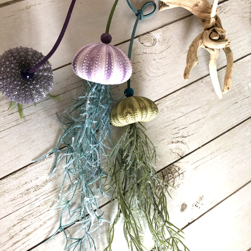 揺れるシーウーチン (4) 3個セット ウニ殻 海月 その他インテリア雑貨