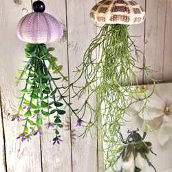 クラゲのガーランド　スワッグ　リース　シーウーチン クラゲのガーランド スワッグ リース シーウーチン K様オーダー品