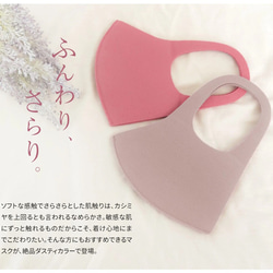 2枚入り 安心快適マスク 洗える3D立体マスク日本製 ■MA-06 1枚目の画像