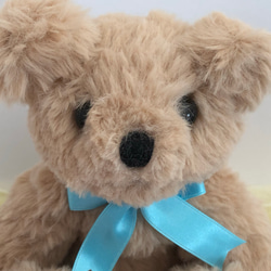 水色リボン テディベア ぬいぐるみ cotori_mama 通販 7923744｜Creema