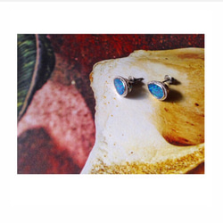 Opal pierce 2枚目の画像