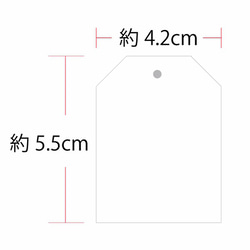  第6張的照片