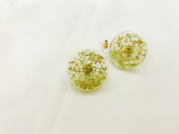 【85折】8月 誕生石系列 - 橄欖石 耳夾 / 耳針耳環 第3張的照片