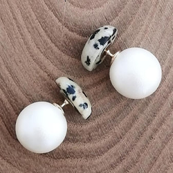 Dalmatian Jasper × Pearl 1枚目の画像