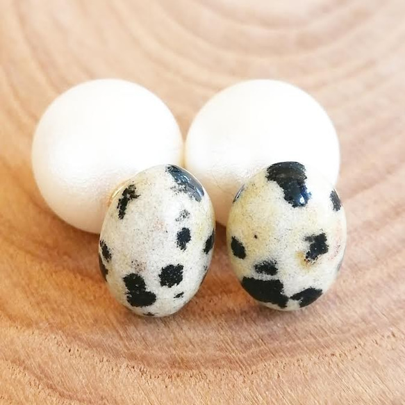 Dalmatian Jasper × Pearl 2枚目の画像