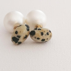 Dalmatian Jasper × Pearl 3枚目の画像