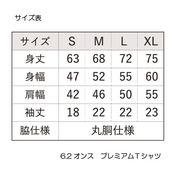 プレゼントBOX　半袖Ｔシャツ　2枚セット　  新作WEEK2021　 10枚目の画像