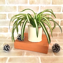 ブリキ製アンティーク風ストレートプランターの観葉植物◇フェイクグリーン 8枚目の画像