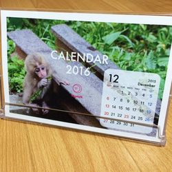 サルの卓上カレンダー2016 1枚目の画像