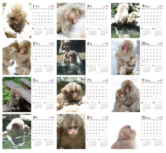 サルの卓上カレンダー2016 2枚目の画像