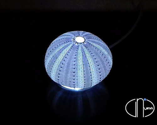 0_2ee61d2bb2082f1305046f3a739b  