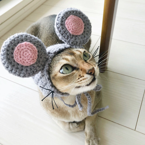 オーダーページ ねずみ帽子 ハンドメイド ディズニー 干支 油っこく 2020