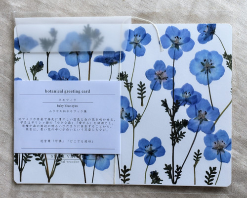 葉 祥明 花のメッセージ 葉 祥明 花のメッセージ 絵画 版画 葉 祥明