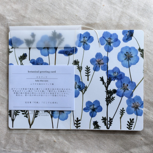 ネオロマ　メッセージカード ネオロマ メッセージカード ネオロマ メッセージカード ネオロマンス