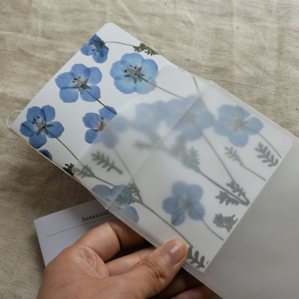 [botanical greeting card]　ネモフィラ　花言葉メッセージカード 4枚目の画像