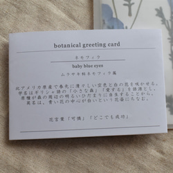 [botanical greeting card]　ネモフィラ　花言葉メッセージカード 5枚目の画像