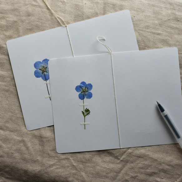 [botanical greeting card]　ネモフィラ　花言葉メッセージカード 6枚目の画像