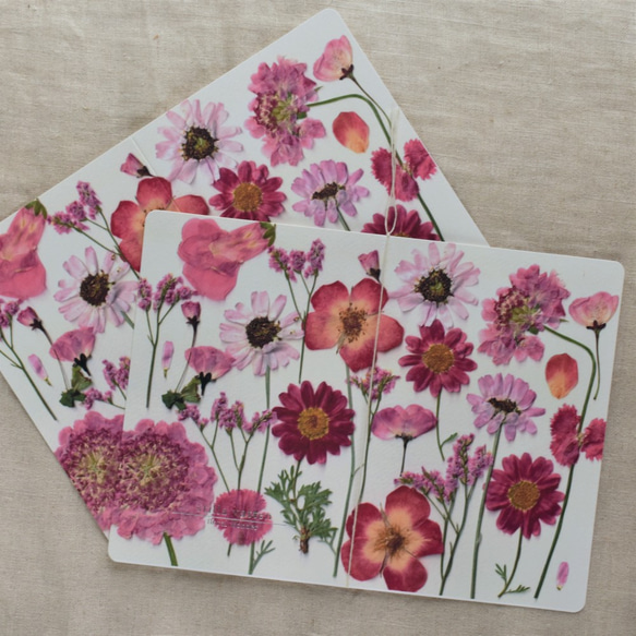 [botanical greeting card] ピンク  花言葉メッセージカード 1枚目の画像
