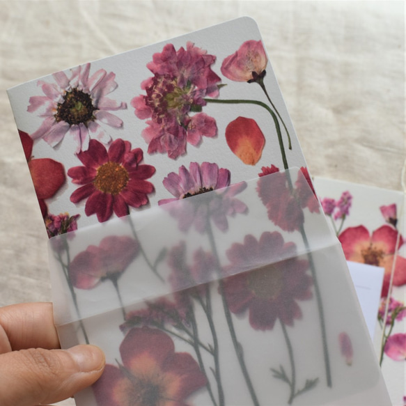 [botanical greeting card] ピンク  花言葉メッセージカード 2枚目の画像