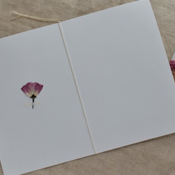 [botanical greeting card] ピンク  花言葉メッセージカード 3枚目の画像