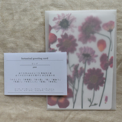 [botanical greeting card] ピンク  花言葉メッセージカード 4枚目の画像