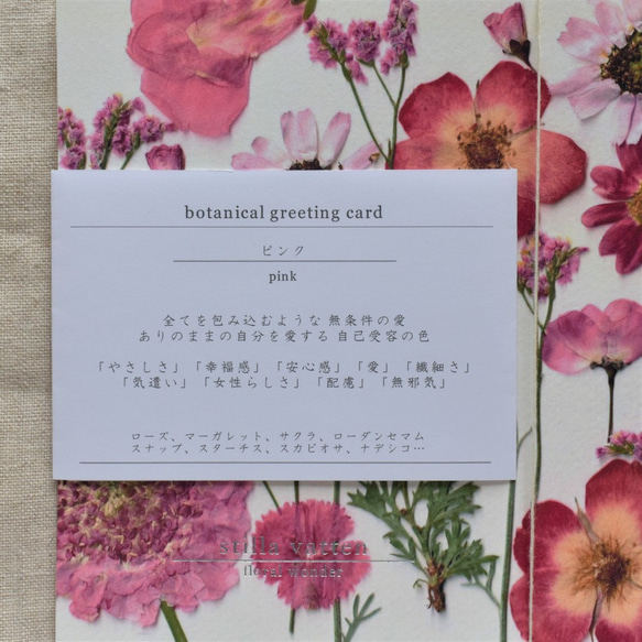 [botanical greeting card] ピンク  花言葉メッセージカード 5枚目の画像