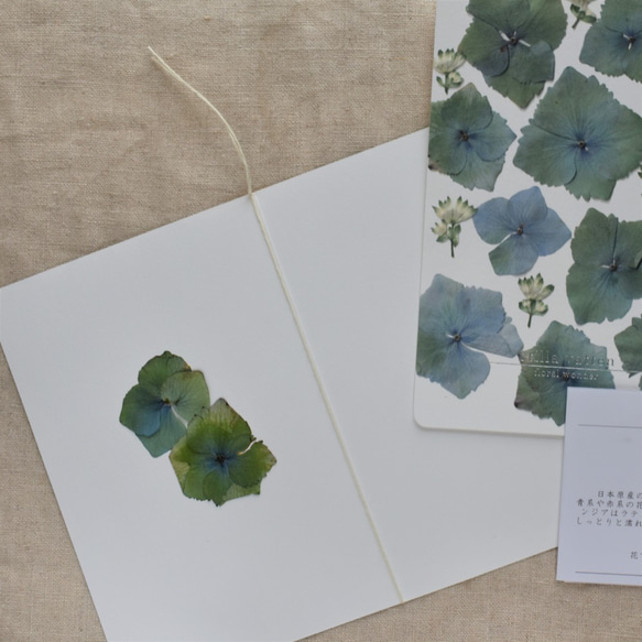 [botanical greeting card]　アジサイ　花言葉メッセージカード 2枚目の画像