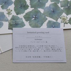 [botanical greeting card]　アジサイ　花言葉メッセージカード 3枚目の画像