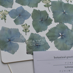 [botanical greeting card]　アジサイ　花言葉メッセージカード 4枚目の画像