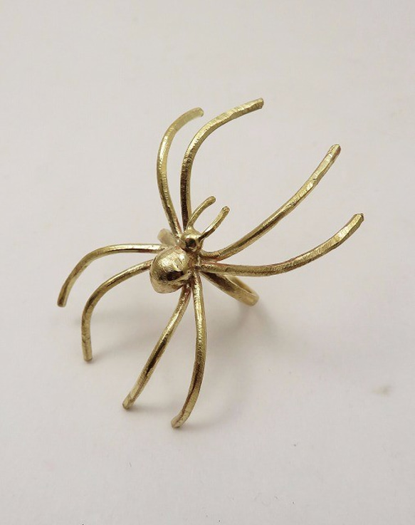 “蜘蛛”戒指 第1張的照片