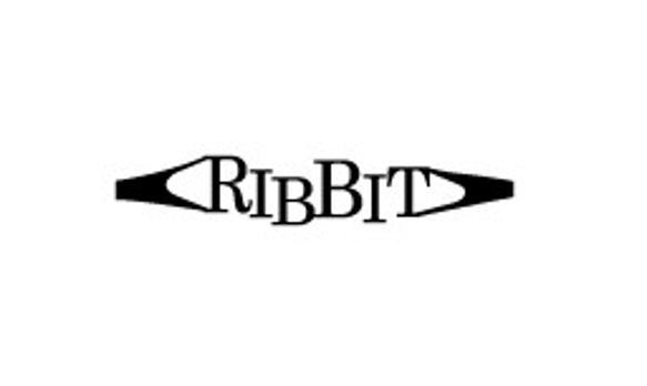 chiupさま専用オーダーページ　『RIBBIT』リング 1枚目の画像