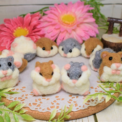 残り一つ！！！ 羊毛フェルトハムスター 毛づくろい 羊毛フェルト RE