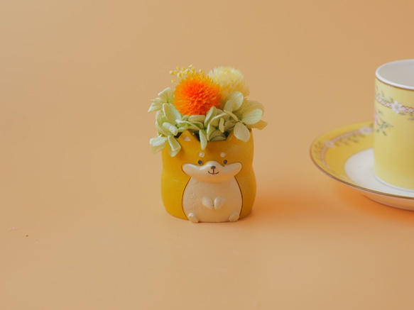 柴犬のナチュラルアレンジ【プリザーブドフラワー】母の日　贈り物 3枚目の画像