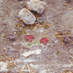 【秋】メープルリーフピアス（もみじピアスorイヤリング））-手彫り手染め植物なめし革ピアス 3枚目の画像