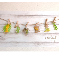 木ノ実のガーランド 木ノ実のガーランド 木の実のガーランド(グリーン系） | クロカン