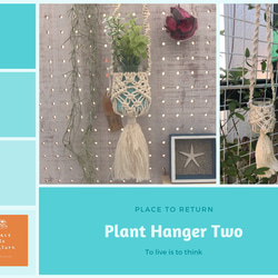 Plant hanger two 1枚目の画像