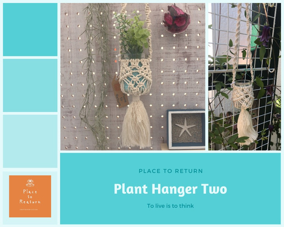 Plant hanger two 1枚目の画像