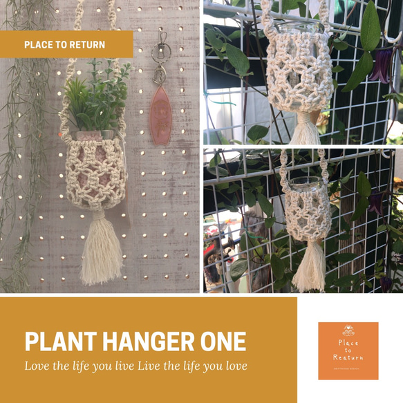 Plant hanger one 1枚目の画像